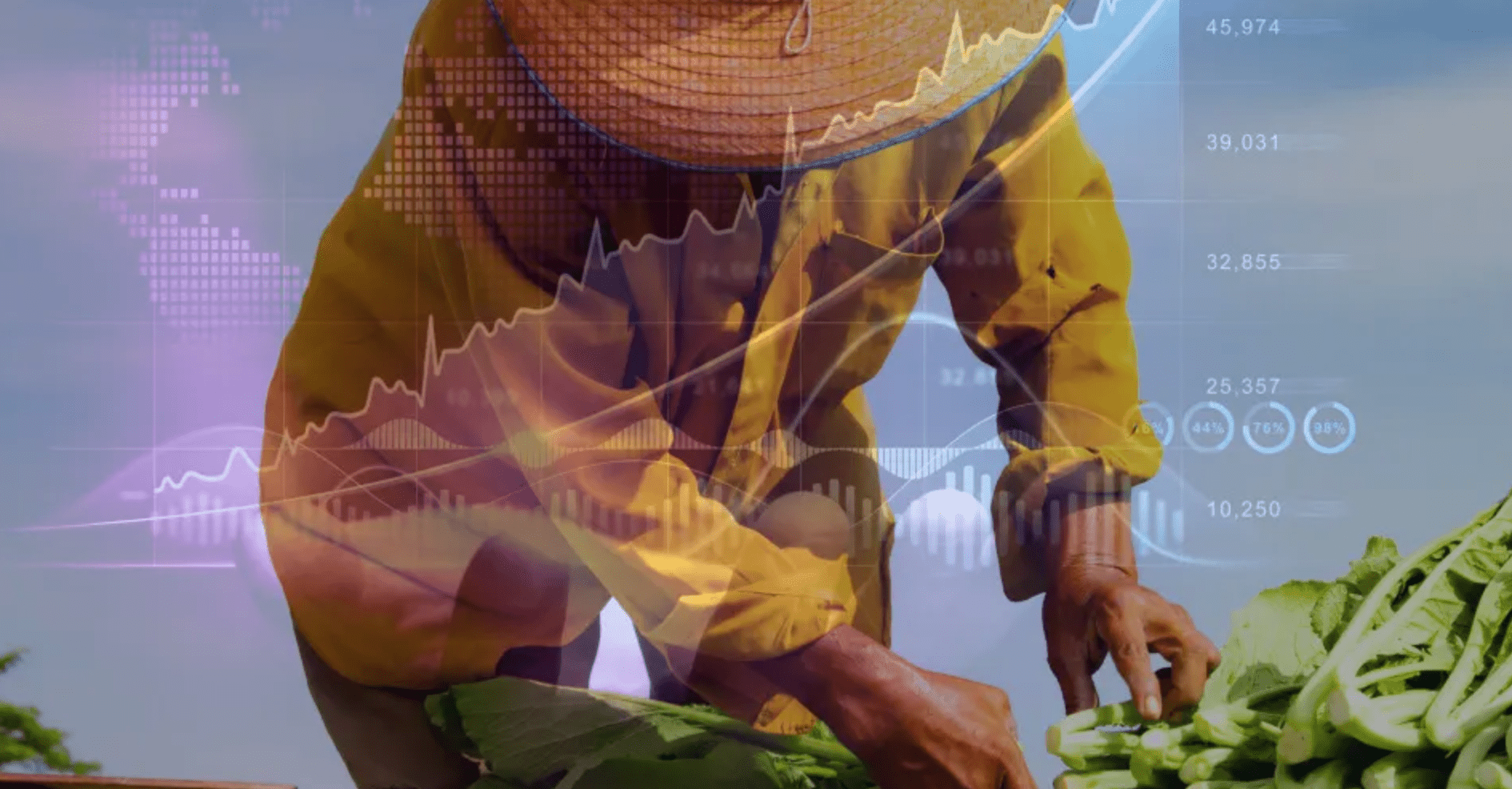 Automating Financial Statement Analysis for Microfinance: A Developer’s Guide