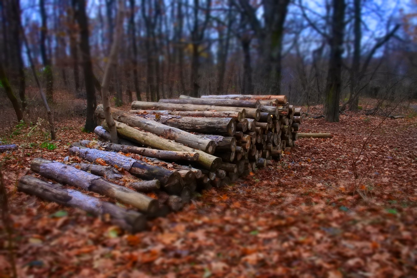 How to Run Machine Learning Experiments with Python Logging Module