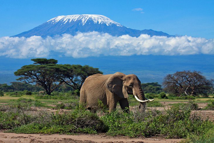 Meet The Winners of Tourism Expenditure Prediction Challenge