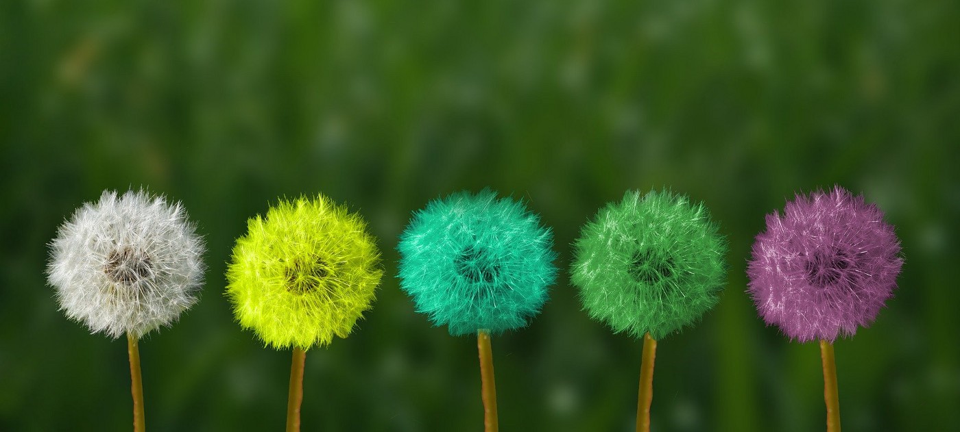 How to Transform Machine Learning Models into Native Code with Zero Dependencies