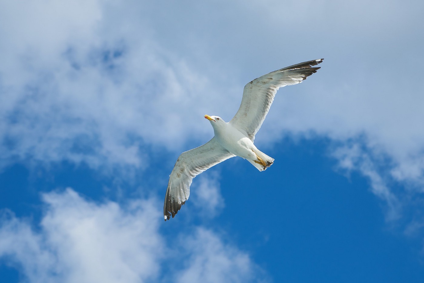 Top 5 Cloud Migration Strategies You Need to Know
